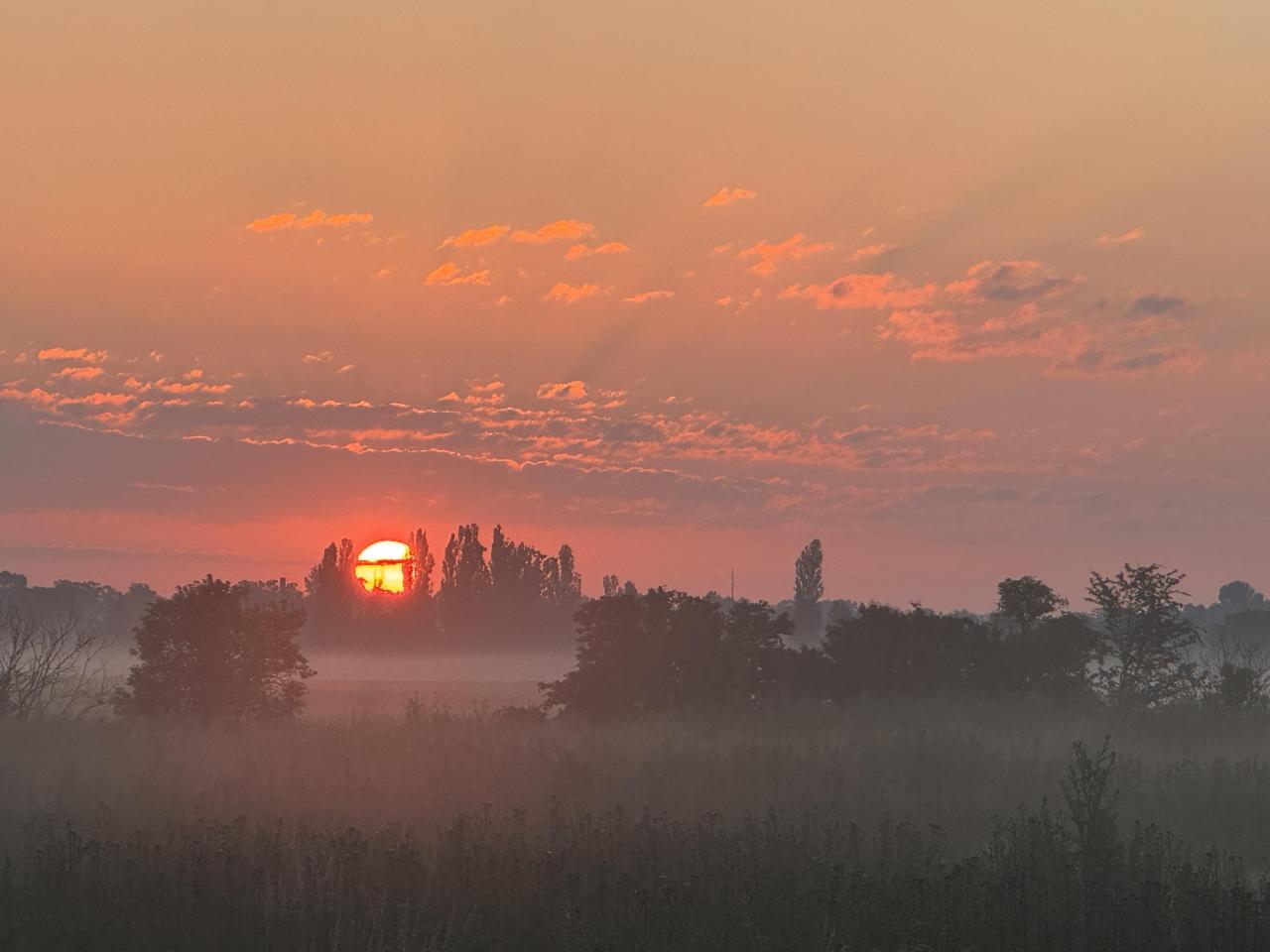 Magdeburger Börde beim Sonnenaufgang