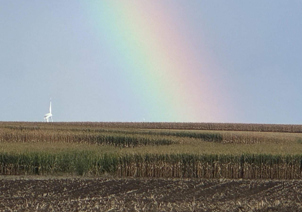 Regenbogen