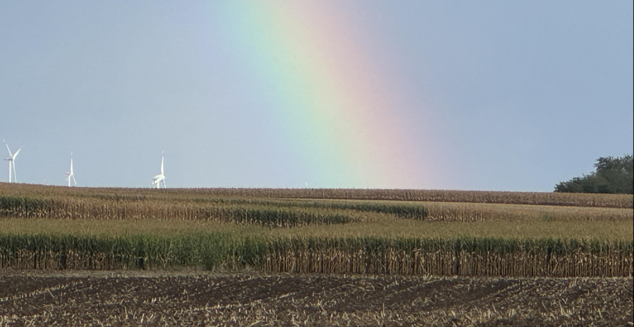 Regenbogen über dem Mais