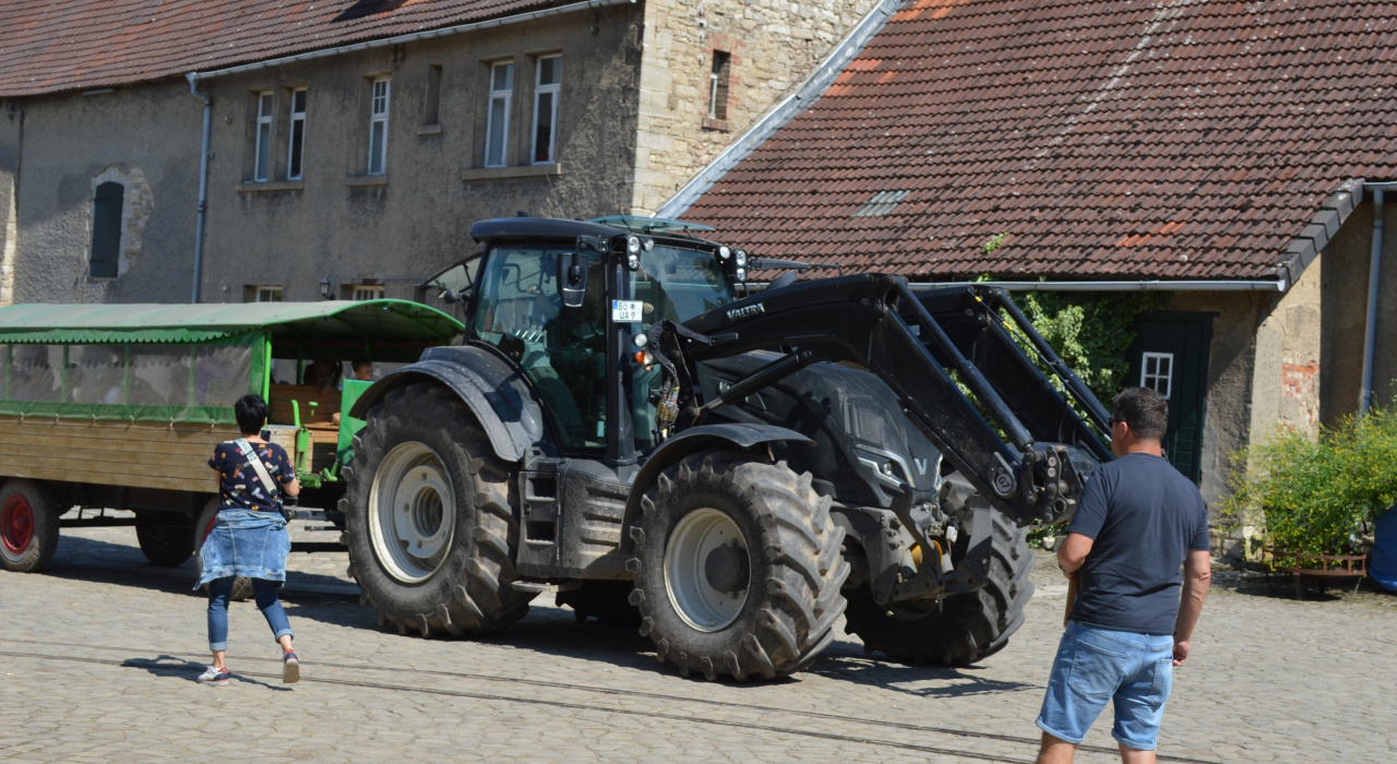 Unsere Kremser waren unermüdlich mit den Gästen unterwegs.